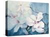 Magnolia Soulangeana (Horizontal)-Karen Armitage-Stretched Canvas