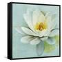 Magnolia Sq-Amy Melious-Framed Stretched Canvas