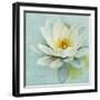 Magnolia Sq-Amy Melious-Framed Art Print