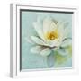 Magnolia Sq-Amy Melious-Framed Art Print