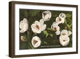 Magnolia, State Flower of Louisiana-null-Framed Art Print