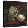 Magnolia Still Life I (detail)-Martin Johnson Heade-Stretched Canvas