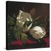 Magnolia Still Life I (detail)-Martin Johnson Heade-Stretched Canvas