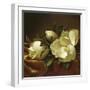 Magnolia Still Life II (detail)-Martin Johnson Heade-Framed Giclee Print