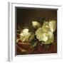 Magnolia Still Life II (detail)-Martin Johnson Heade-Framed Giclee Print