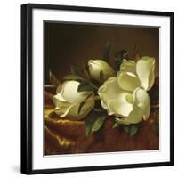 Magnolia Still Life II (detail)-Martin Johnson Heade-Framed Giclee Print