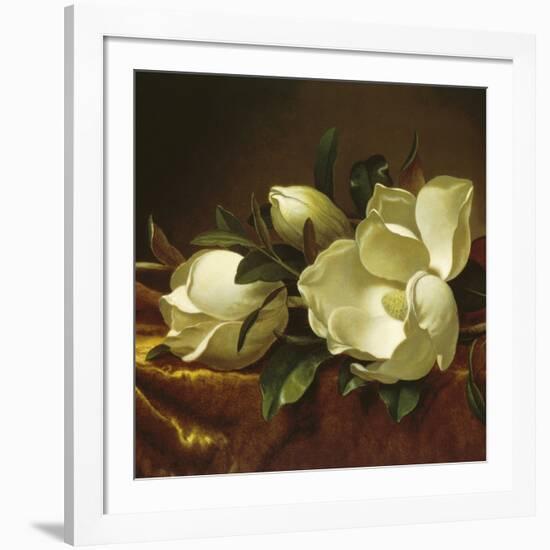 Magnolia Still Life II (detail)-Martin Johnson Heade-Framed Giclee Print