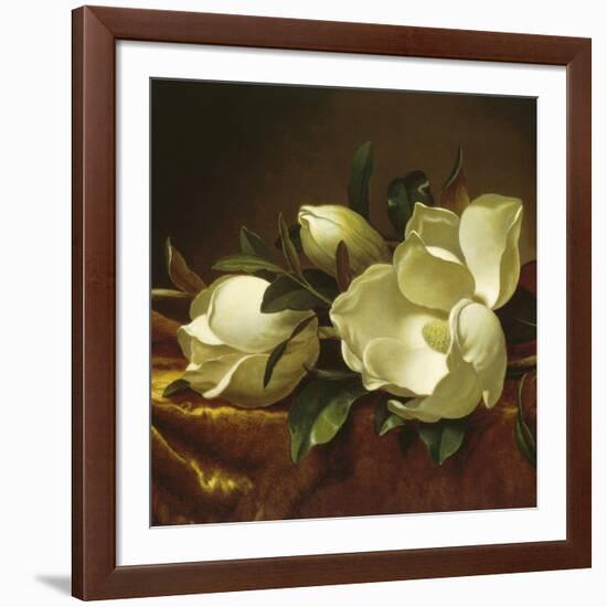 Magnolia Still Life II (detail)-Martin Johnson Heade-Framed Giclee Print