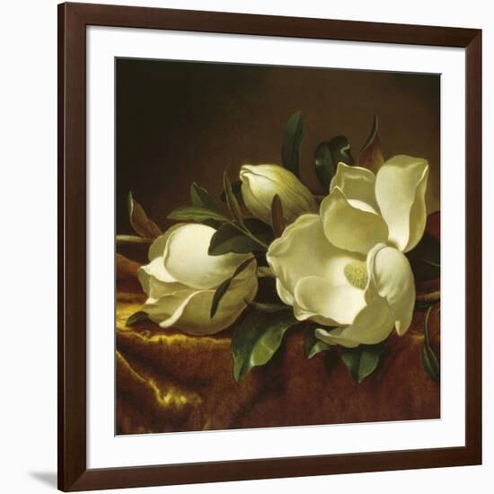 Magnolia Still Life II (detail)-Martin Johnson Heade-Framed Giclee Print