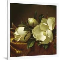 Magnolia Still Life II (detail)-Martin Johnson Heade-Framed Giclee Print