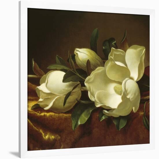 Magnolia Still Life II (detail)-Martin Johnson Heade-Framed Giclee Print