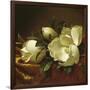 Magnolia Still Life II (detail)-Martin Johnson Heade-Framed Giclee Print