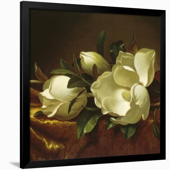 Magnolia Still Life II (detail)-Martin Johnson Heade-Framed Giclee Print