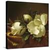 Magnolia Still Life II (detail)-Martin Johnson Heade-Stretched Canvas