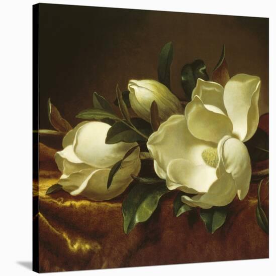 Magnolia Still Life II (detail)-Martin Johnson Heade-Stretched Canvas