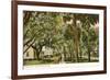 Magnolia Street, Daytona, Florida-null-Framed Premium Giclee Print