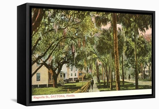 Magnolia Street, Daytona, Florida-null-Framed Stretched Canvas