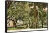 Magnolia Street, Daytona, Florida-null-Framed Stretched Canvas