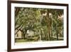 Magnolia Street, Daytona, Florida-null-Framed Art Print