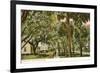 Magnolia Street, Daytona, Florida-null-Framed Art Print