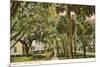 Magnolia Street, Daytona, Florida-null-Mounted Art Print