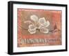 Magnolia Study I-unknown Foy-Framed Art Print