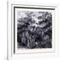 Magnolia Swamp United States of America-null-Framed Giclee Print