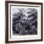 Magnolia Swamp United States of America-null-Framed Giclee Print