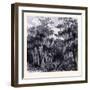 Magnolia Swamp United States of America-null-Framed Giclee Print