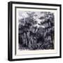 Magnolia Swamp United States of America-null-Framed Giclee Print