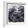 Magnolia Swamp United States of America-null-Framed Giclee Print