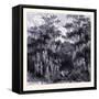 Magnolia Swamp United States of America-null-Framed Stretched Canvas
