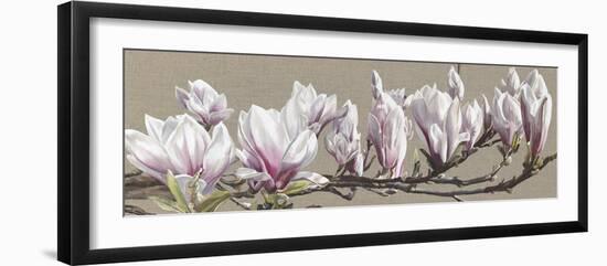 Magnolia Swathe-Sarah Caswell-Framed Giclee Print