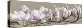 Magnolia Swathe-Sarah Caswell-Stretched Canvas