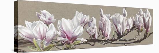 Magnolia Swathe-Sarah Caswell-Stretched Canvas