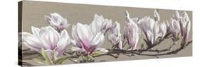 Magnolia Swathe-Sarah Caswell-Stretched Canvas