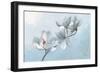 Magnolia Time-Wellington Studio-Framed Art Print