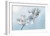 Magnolia Time-Wellington Studio-Framed Art Print