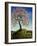 Magnolia Tree, 1989-Liz Wright-Framed Giclee Print