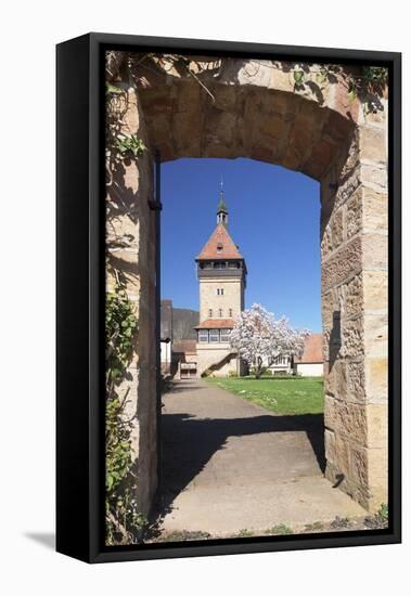 Magnolia Tree Blossom, Geilweilerhof Institute for Grape Breeding, Siebeldingen-Markus Lange-Framed Stretched Canvas