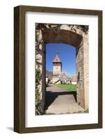 Magnolia Tree Blossom, Geilweilerhof Institute for Grape Breeding, Siebeldingen-Markus Lange-Framed Photographic Print