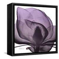 Magnolia Wine Beauty-Albert Koetsier-Framed Stretched Canvas