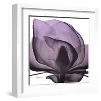 Magnolia Wine Beauty-Albert Koetsier-Framed Art Print