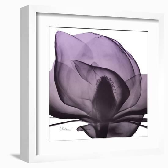 Magnolia Wine Beauty-Albert Koetsier-Framed Art Print