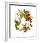 Magnolia Wreath-Nancy Kaestner-Framed Art Print