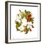 Magnolia Wreath-Nancy Kaestner-Framed Art Print