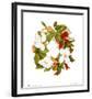 Magnolia Wreath-Nancy Kaestner-Framed Art Print