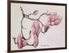 Magnolia X Soulangiana, 1992-Ruth Hall-Framed Giclee Print