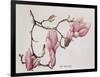 Magnolia X Soulangiana, 1992-Ruth Hall-Framed Giclee Print