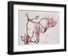 Magnolia X Soulangiana, 1992-Ruth Hall-Framed Giclee Print